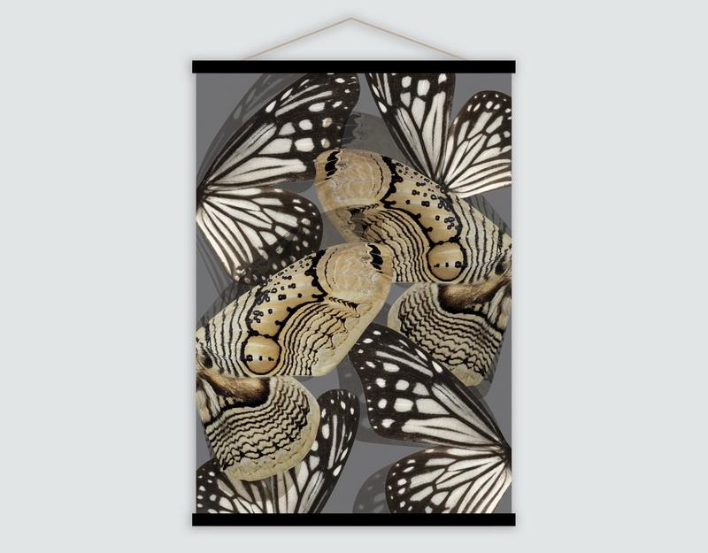 Photo n°1 du produit Affiche Kakemono Papillons vintage 50x70cm-KAKEMO66T70-0