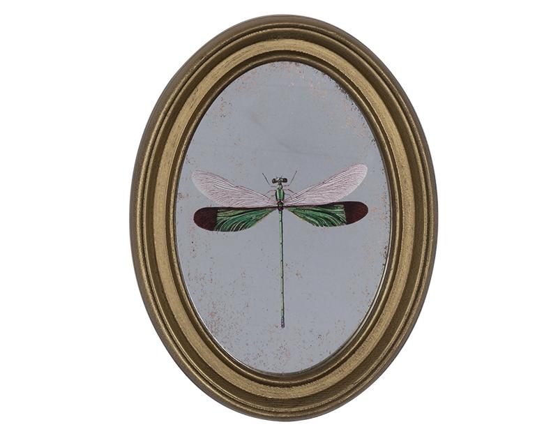 Photo n°1 du produit Déco murale encadrée libellule doré 20x30cm-760T30-0
