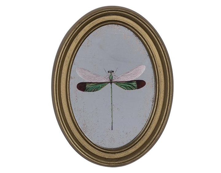 Photo n°1 du produit Déco murale encadrée libellule doré 20x30cm-760T30-0