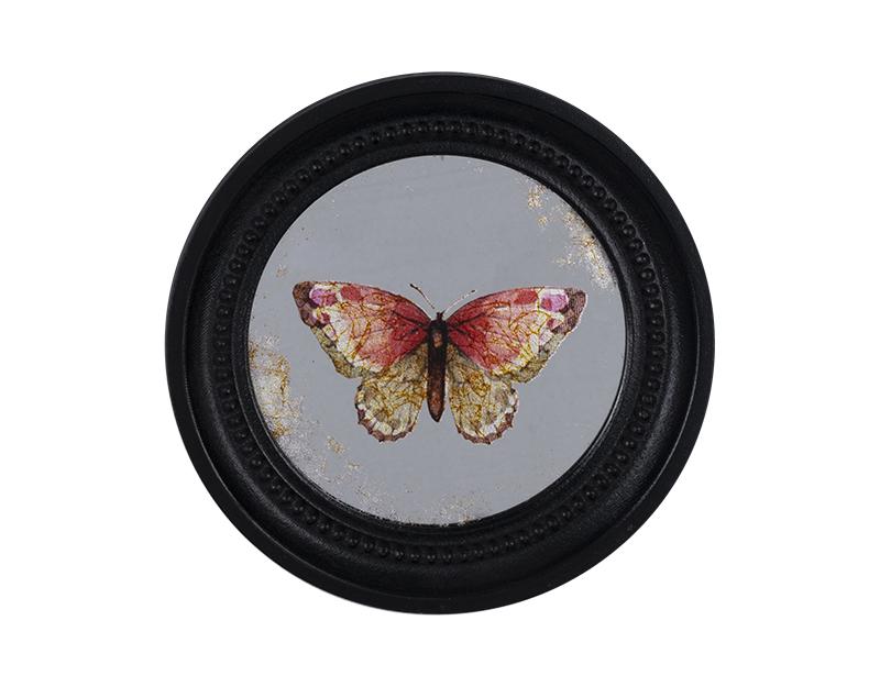 Photo n°1 du produit Déco murale encadrée papillon noir 23cm-764C23-0