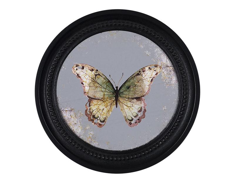 Photo n°1 du produit Déco murale encadrée papillon noir 27cm-765C27-0