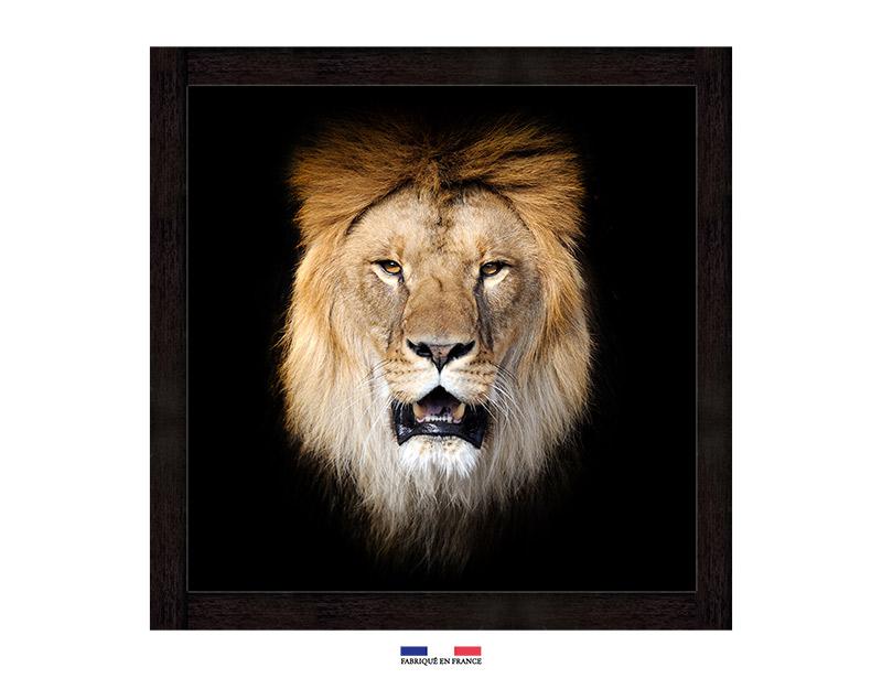 Photo n°1 du produit Toile imprimée lion sur fond noir 60x60-J12348002-0