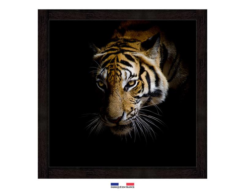 Photo n°1 du produit Toile imprimée tigre sur fond noir 60x60-J12348001-0