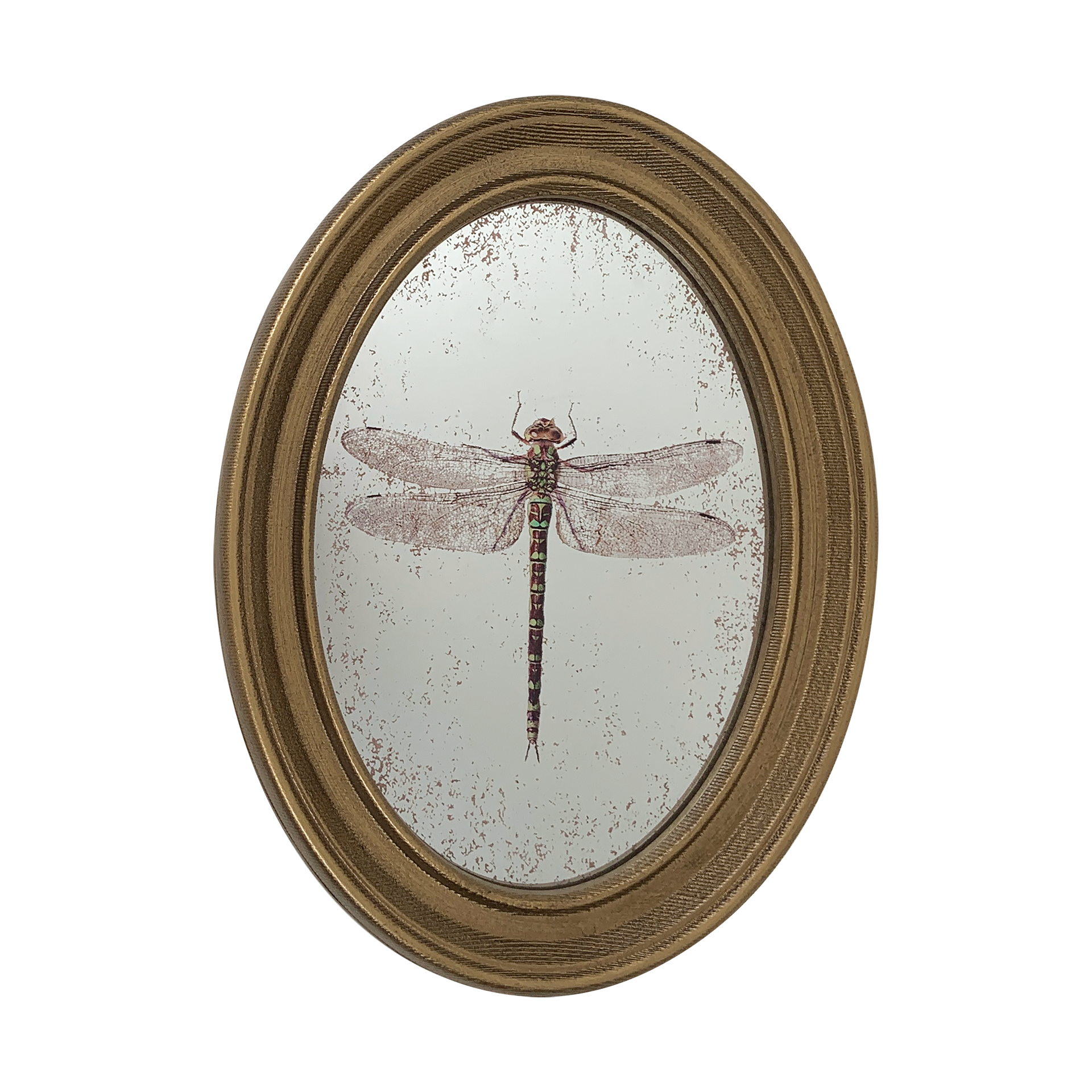 Déco murale encadrée libellule doré 20x30cm
