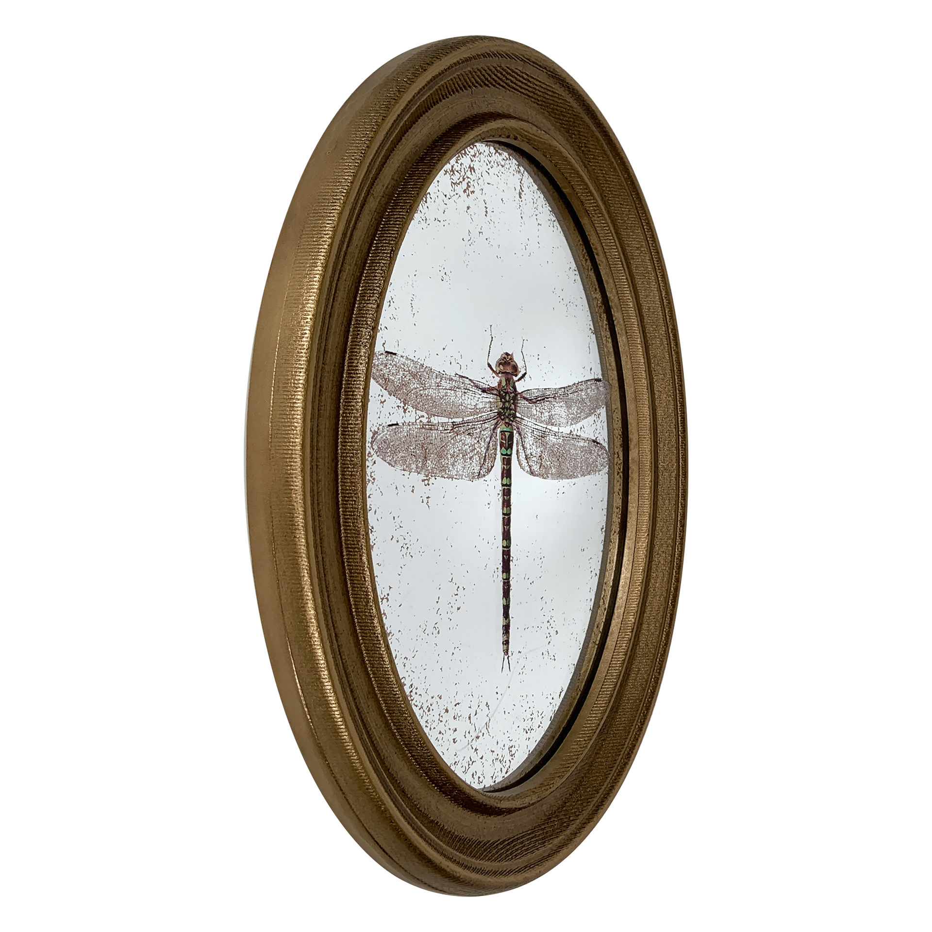 Déco murale encadrée libellule doré 20x30cm