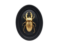 Our best sellers