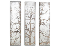 Tous les miroirs